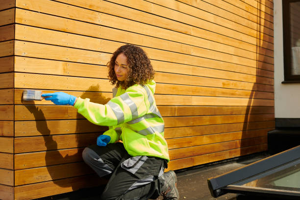 Best Vinyl Siding Installation  in Tanaina, AK